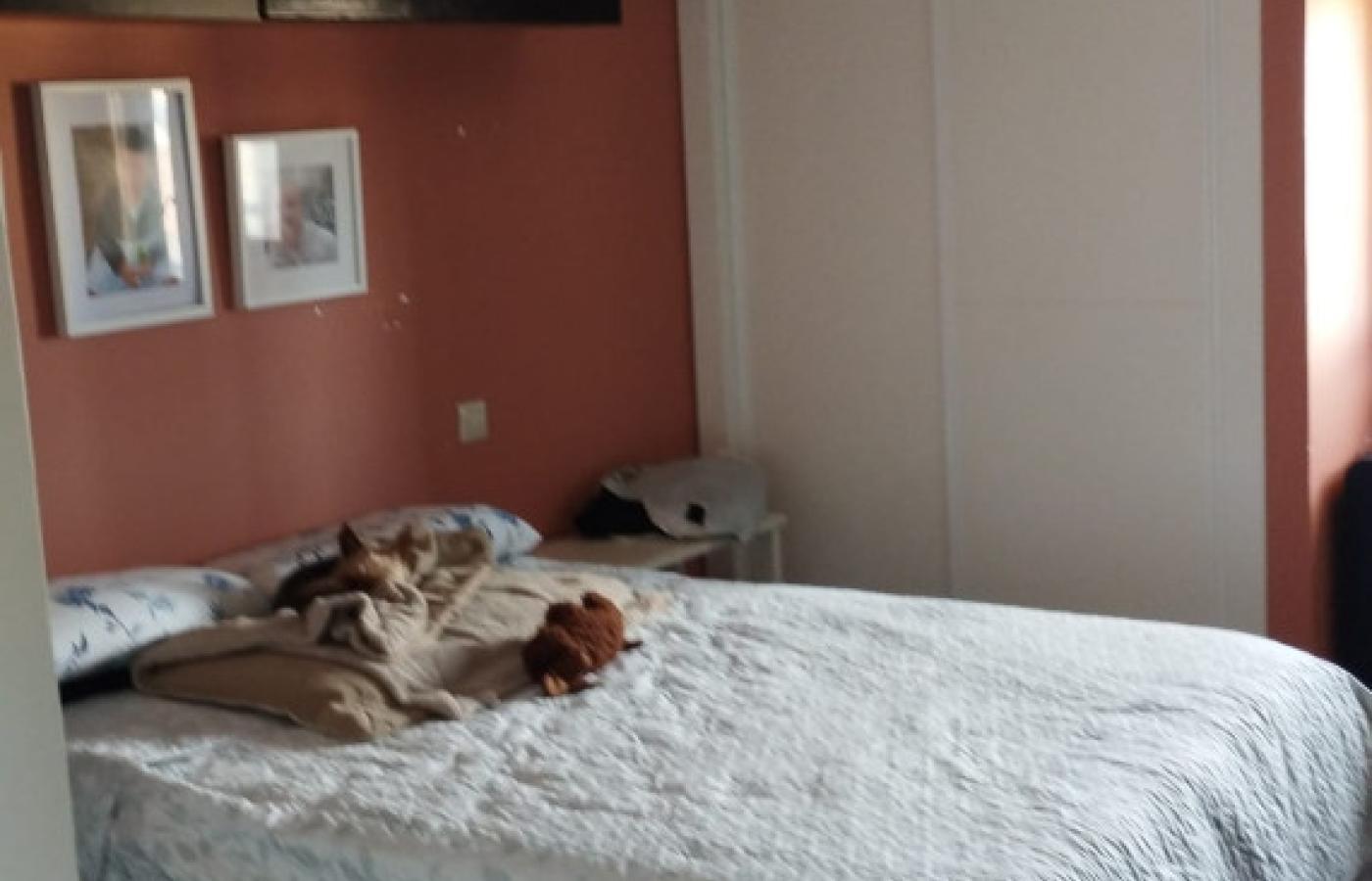 Imagen de 'alquiler de habitaciones en segovia, real sitio de san ildefonso | convivencia intergeneracional'