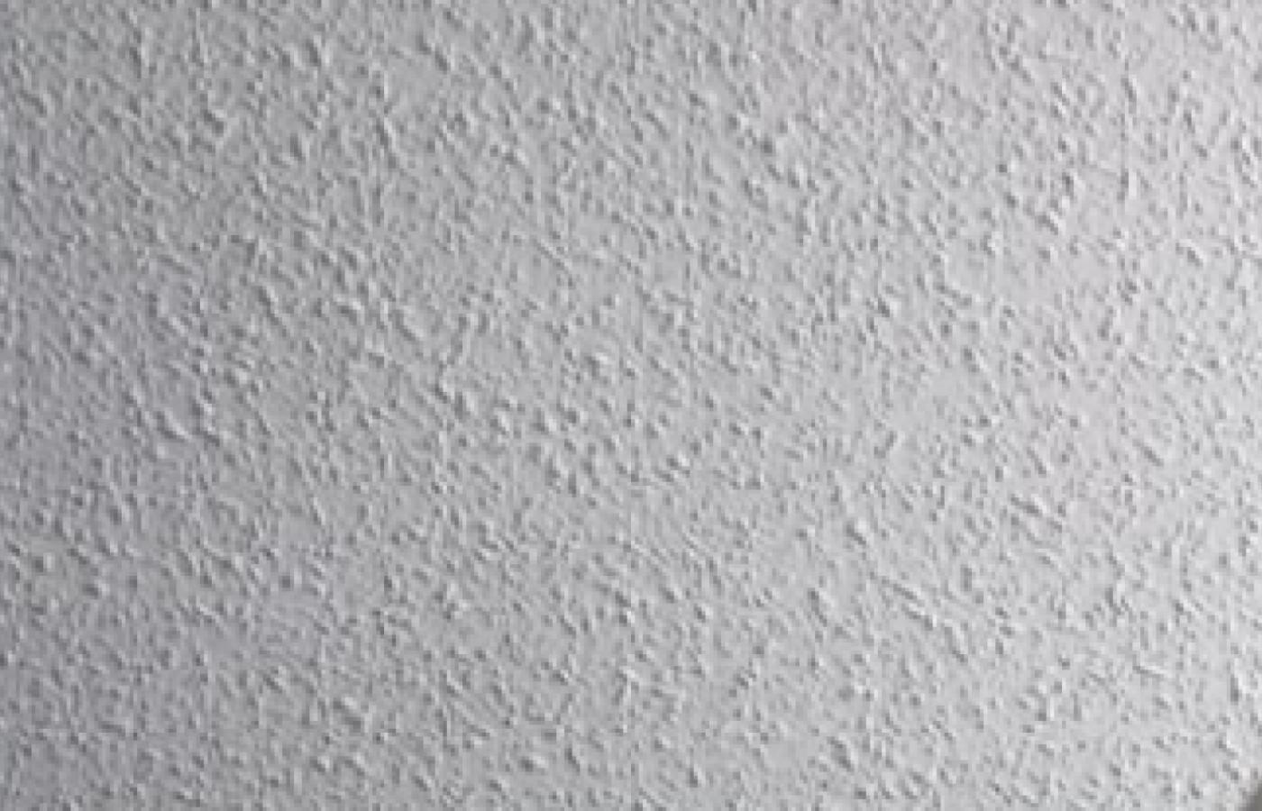 Imagen de 'alquiler de habitaciones en bizkaia, santurtzi | convivencia intergeneracional'