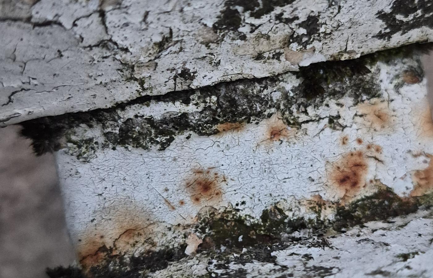 Imagen de 'alquiler de habitaciones en gipuzkoa, deba | convivencia intergeneracional'