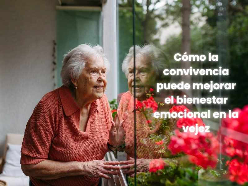 Imagen Cómo la Convivencia Puede Mejorar el Bienestar Emocional en la Vejez