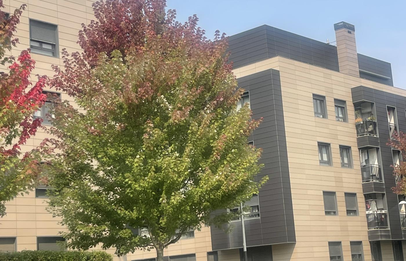 Imagen de 'alquiler de habitaciones en bizkaia, leioa | convivencia intergeneracional'