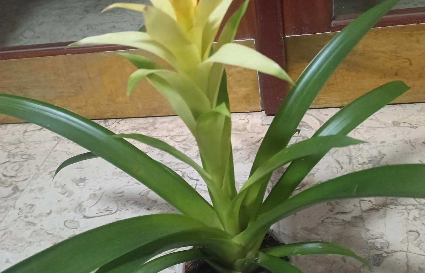 Imagen de 'alquiler de habitaciones en bizkaia, sopuerta | convivencia intergeneracional'