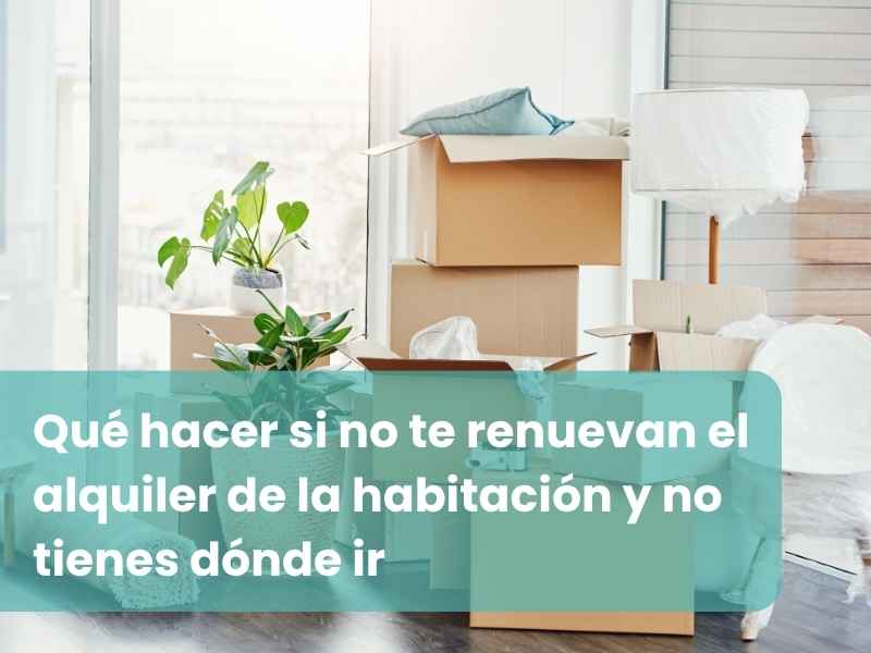 Qué hacer si no te renuevan el alquiler de la habitación y no tienes dónde ir