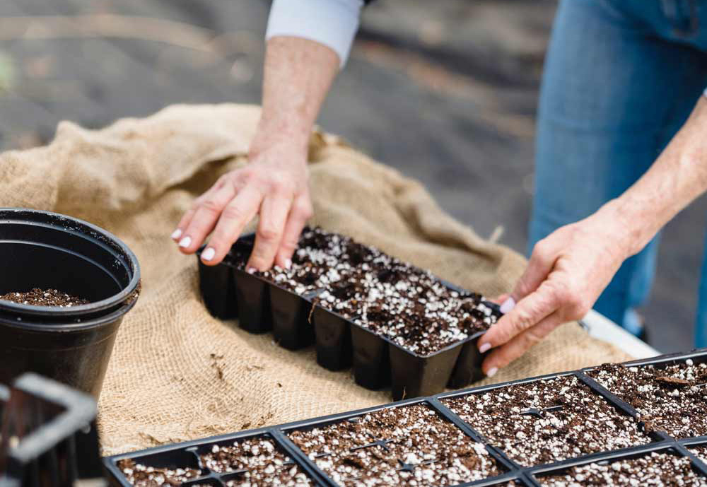 Cómo hacer un huerto ecológico en nuestra terraza